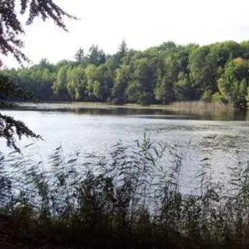 Trekking Pfalz: Enkenbach-Alsenborn