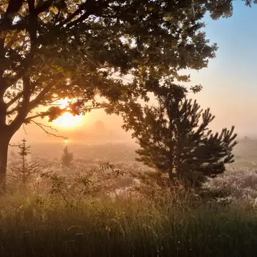 Camping Zonnekamp