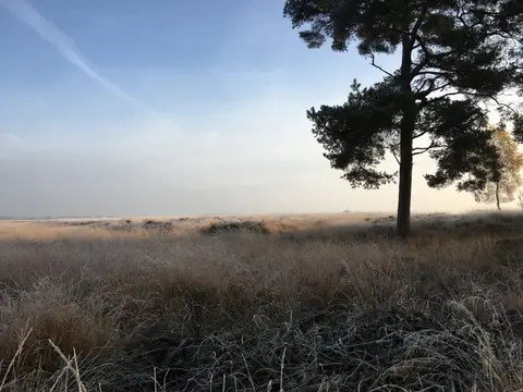 Camping Zonnekamp