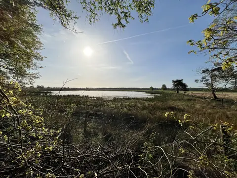 Camping Zonnekamp
