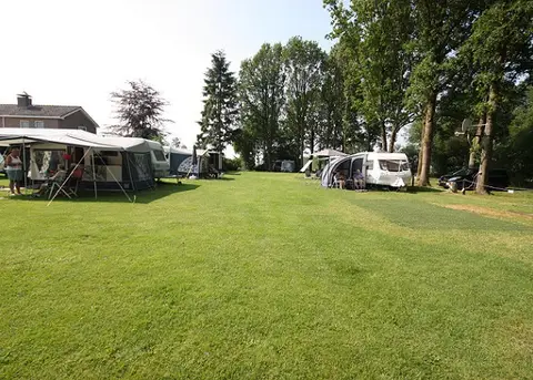 Bosveen