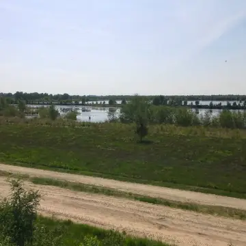 Veenweide