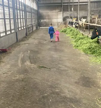 Mini-Camping 't Neuvertje