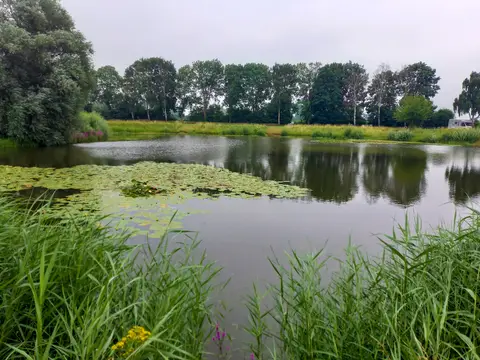 Reisemobilstellplatz am Willisee