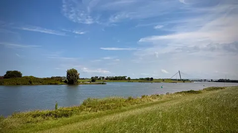Het Abbertsbos