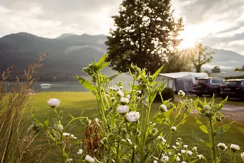 Paradiescamping Wolfgangsee Birkenstrand