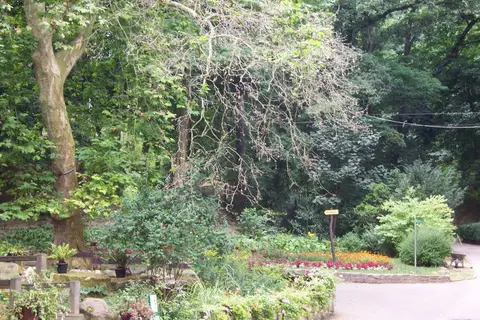 Düsterngraben