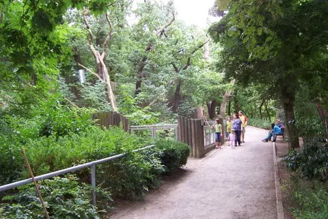 Düsterngraben
