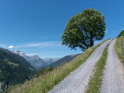 Stellplatz Fronalp 1