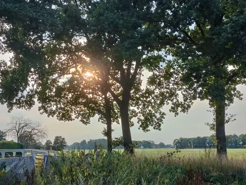Buitenleven