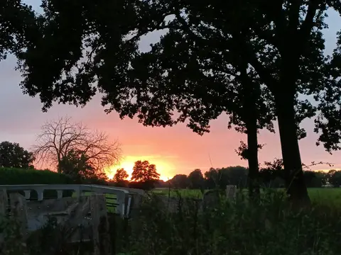 Buitenleven