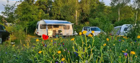 Camping Jelly's Hoeve