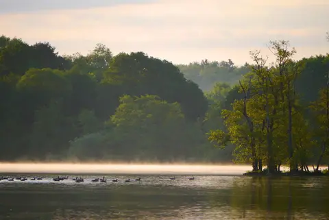 Naturcamping am Stocksee