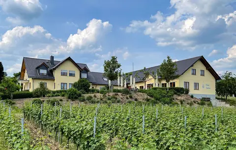 Stellplatz Weingut Engelmann