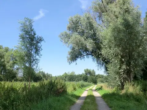 Boerencamping 't Rouweelse veld