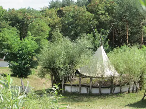 Behütum