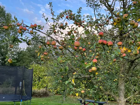 Camping De Groene Halte