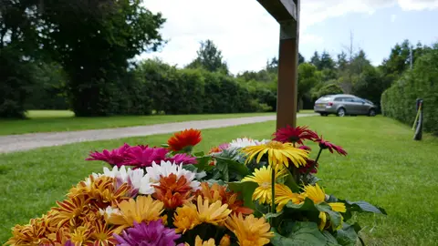 Camping Hollandscheveld