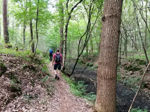 Camping Hollandscheveld