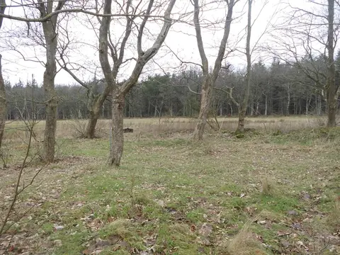 Trekkingplatz Leck