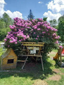 Camping Al Laghetto