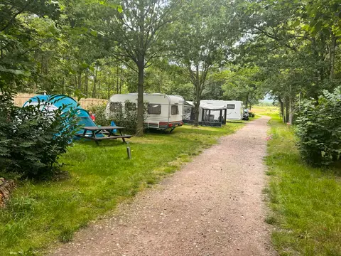 De Beerte