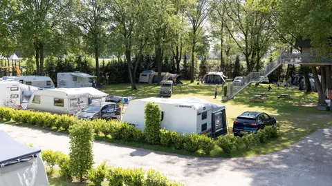 Simonshoek