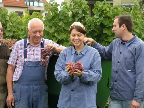 Weingut Schäfer - Edenkoben