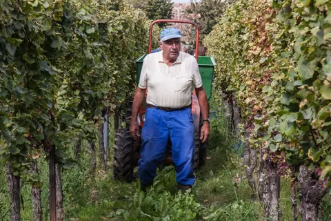 Weingut Schäfer - Edenkoben