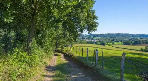 Camping t'Vossenveld