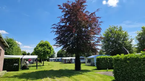 Camping t'Vossenveld