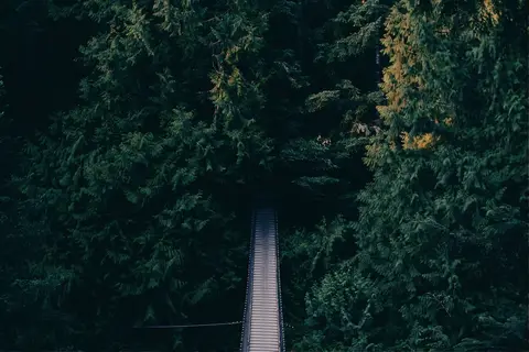Böhmerwald