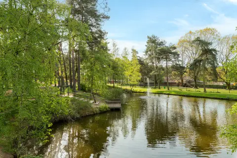 De Heldense Bossen