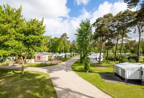 De Heldense Bossen