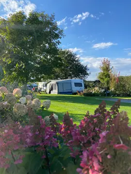 Camping van Kempenhof