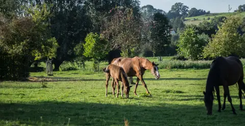 Hoeve Kroonen