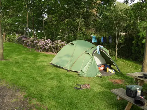 Camping Boszicht