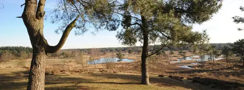 Hoeve de Maasduinen