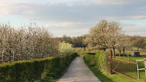 Hof van Libeek