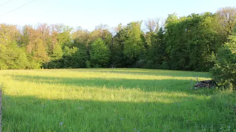 Jugend- und Naturzeltplatz Metzingen