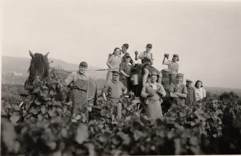 Weingut Klohr