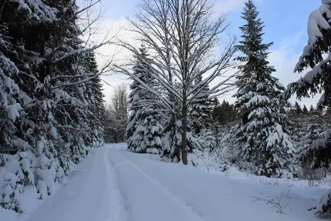 Wohnmobilstellplatz Ruhmannsfelden