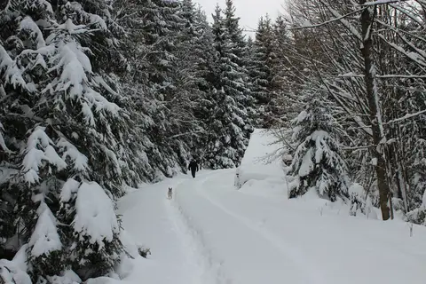 Wohnmobilstellplatz Ruhmannsfelden