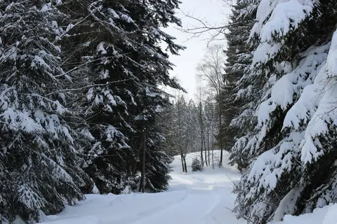 Wohnmobilstellplatz Ruhmannsfelden