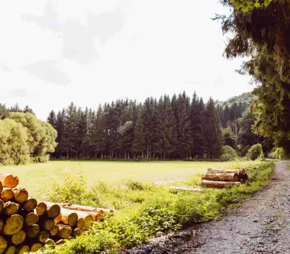 Camperpark Um Deich - Vianden