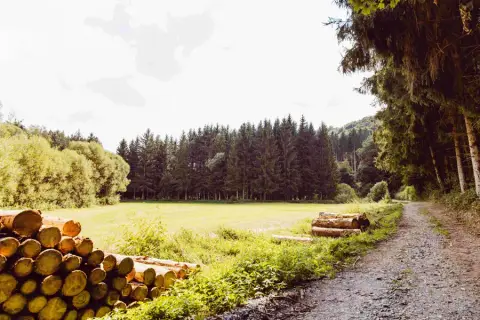 Camperpark Um Deich - Vianden