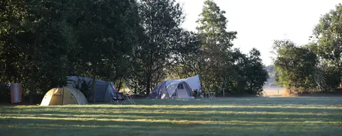 Natuurkampeerterrein Singel