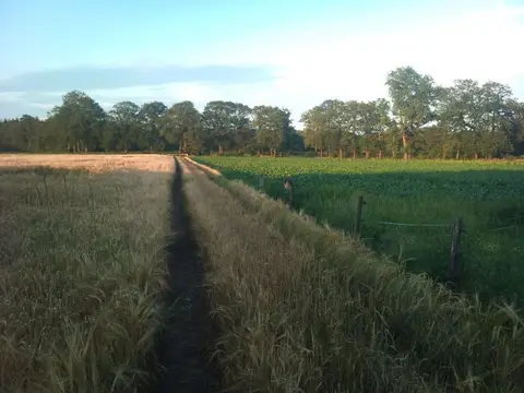 Boerderijcamping De Kleverkamp