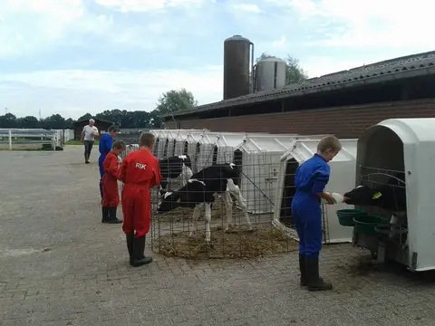 Grenszicht