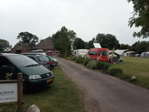 Elisa Hoeve